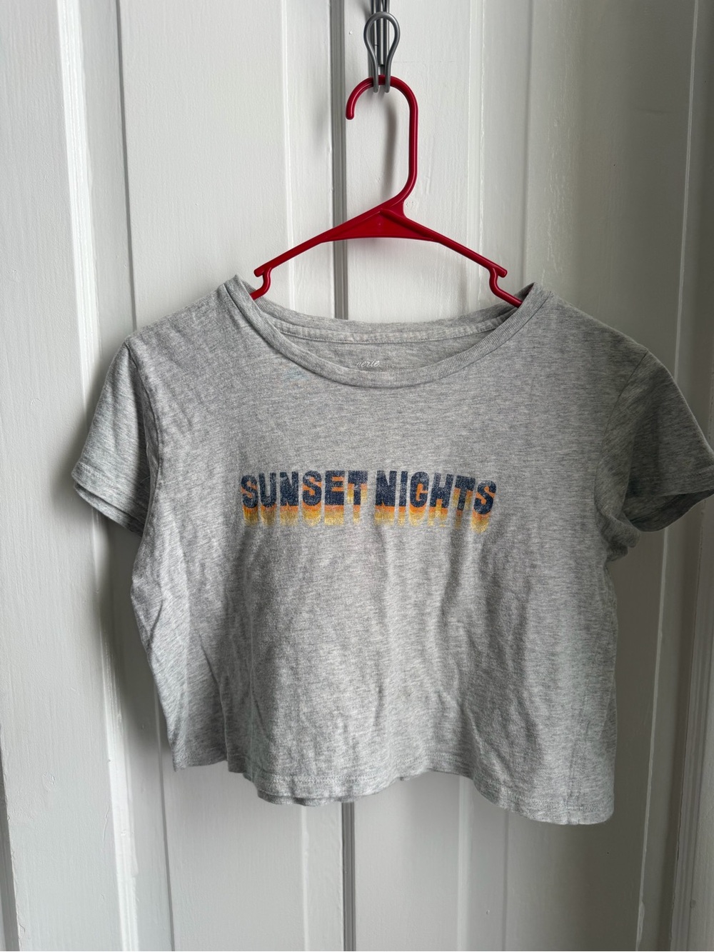 aerie Gray 'Sunset Nights' Graphic Crop Tee